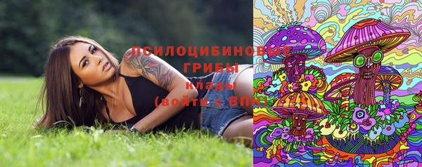 мет Михайлов